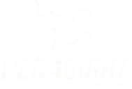 Pegasight Sports